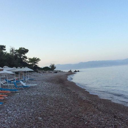 Petalidi Fragkos Apartman Kültér fotó