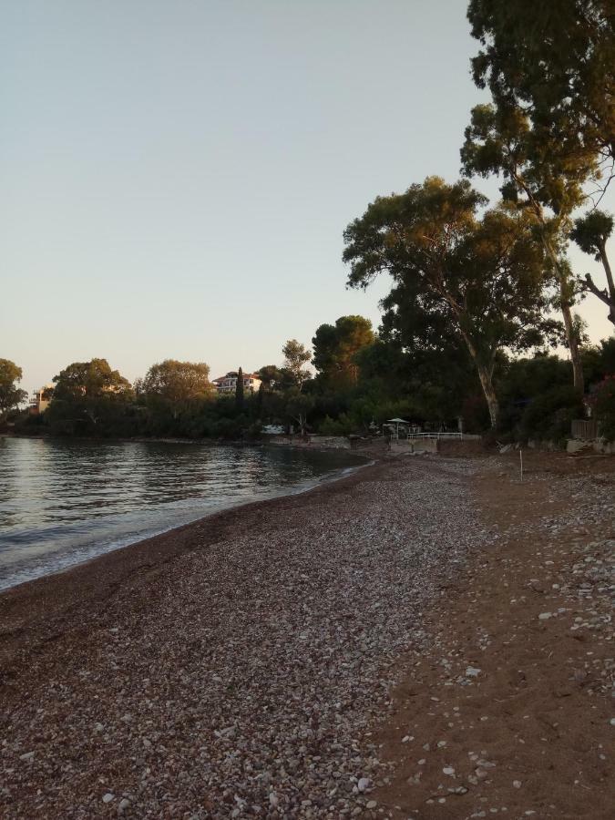 Petalidi Fragkos Apartman Kültér fotó